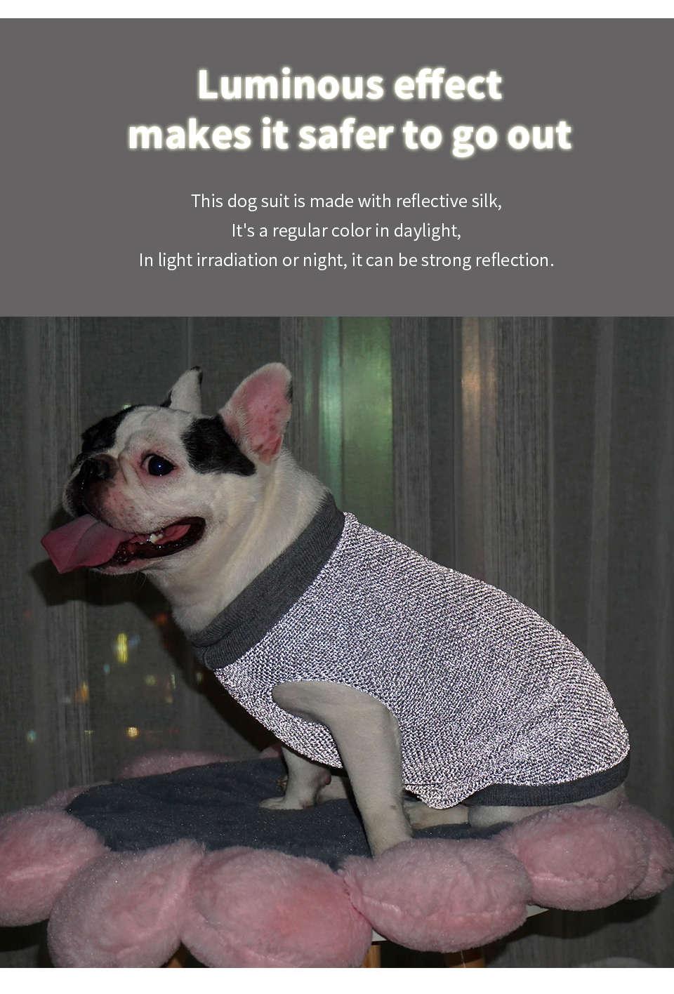 Glowing Dog Sweater