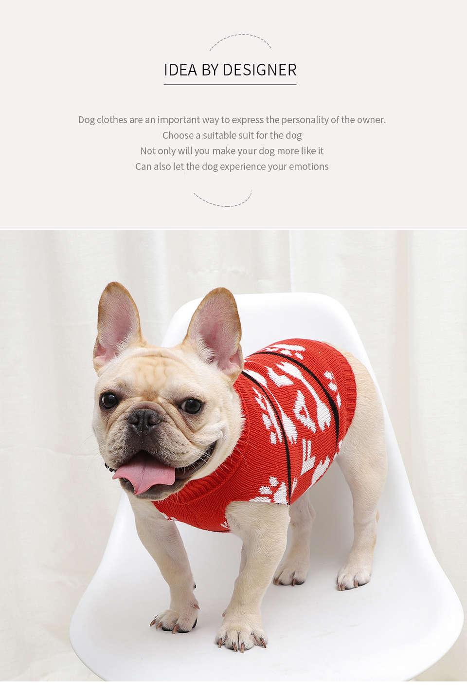 family letter pet sweater